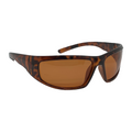 Velocity - Vitality Eyewear